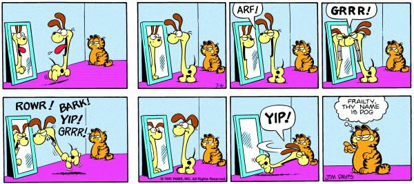 1980-07-06