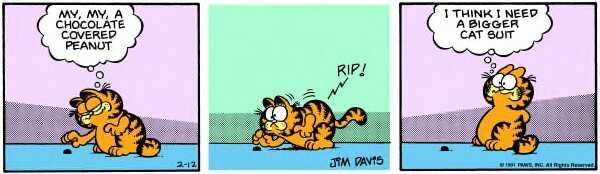 1981-02-12