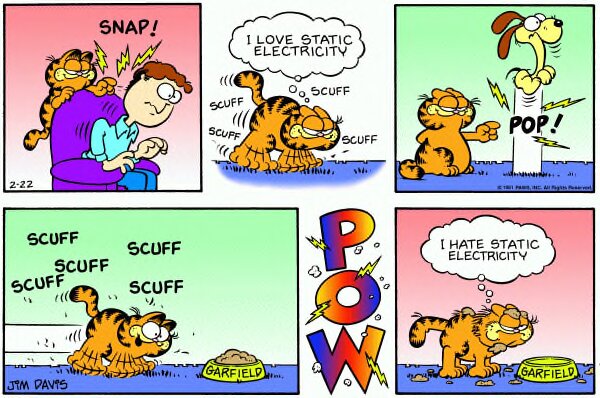 1981-02-22