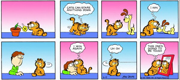 1981-03-15