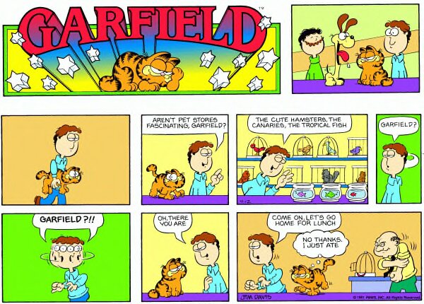 1981-04-12