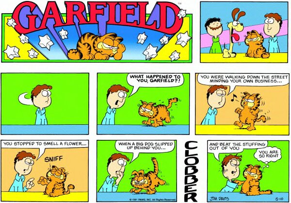 1981-05-10