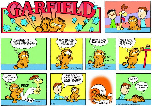 1981-05-17
