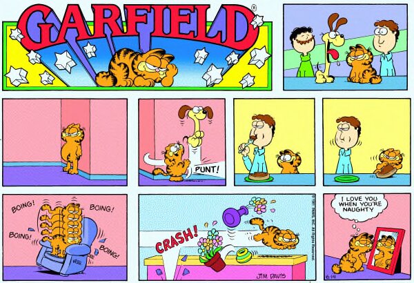 1981-06-14
