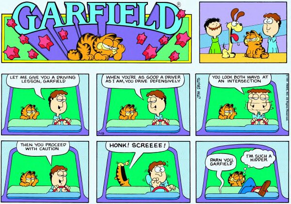 1981-07-19