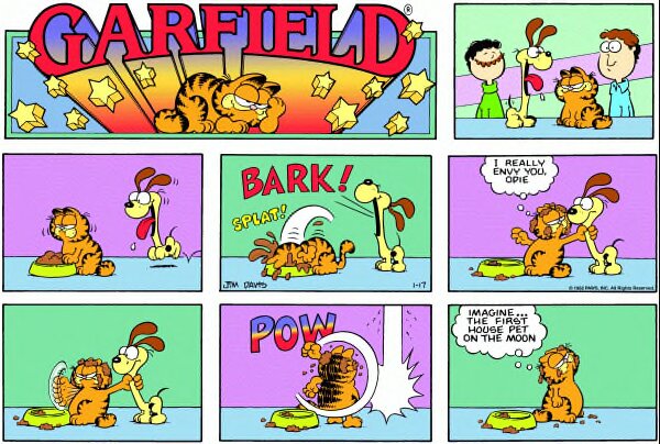 1982-01-17
