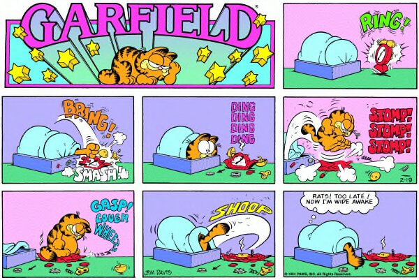 1984-02-19