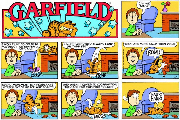 1984-11-18