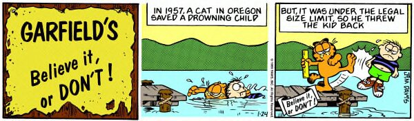 1986-01-24