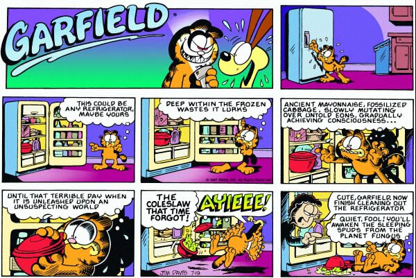 1987-07-19