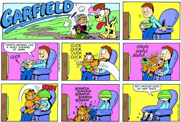 1988-01-24