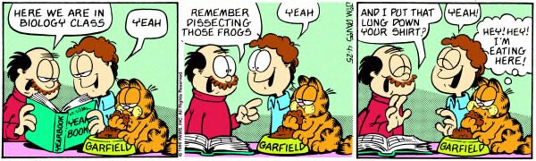 1990-04-25