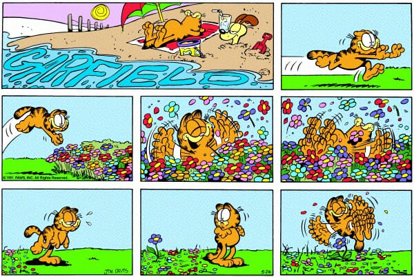 1991-05-26