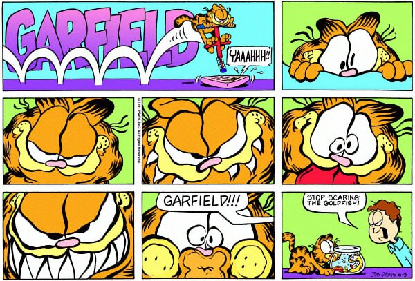 1991-06-09