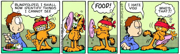 1991-06-29