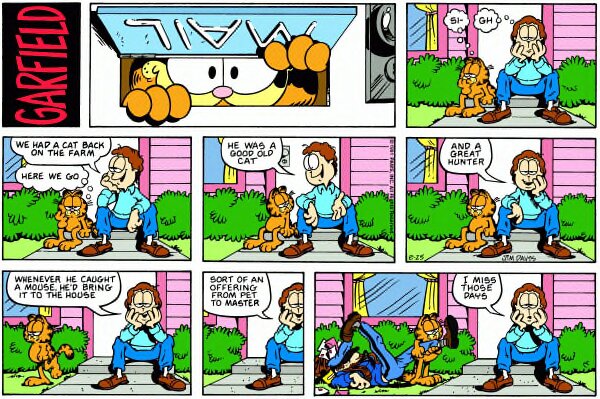 1991-08-25
