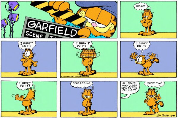 1993-06-06