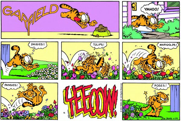 1994-04-24
