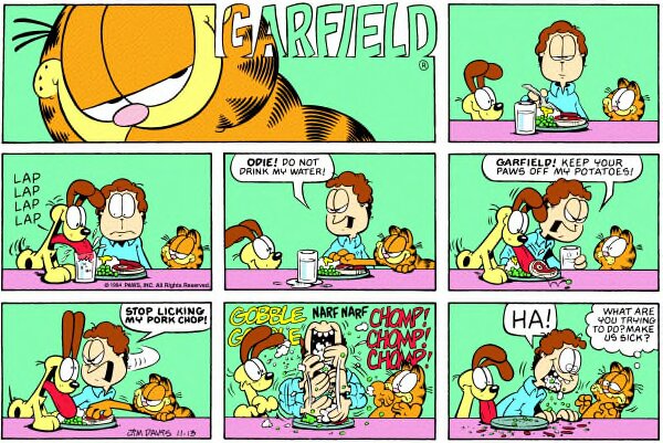 1994-11-13