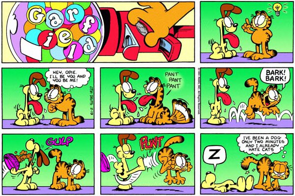 1995-02-19