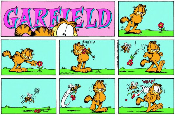 1995-06-25