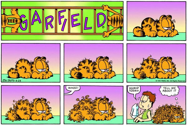 1996-06-23