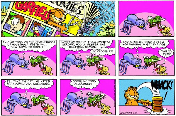 1996-11-17